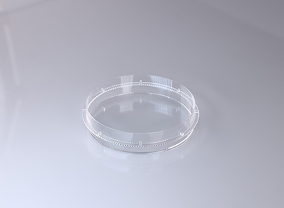 Steril olmayan Petri çanağı